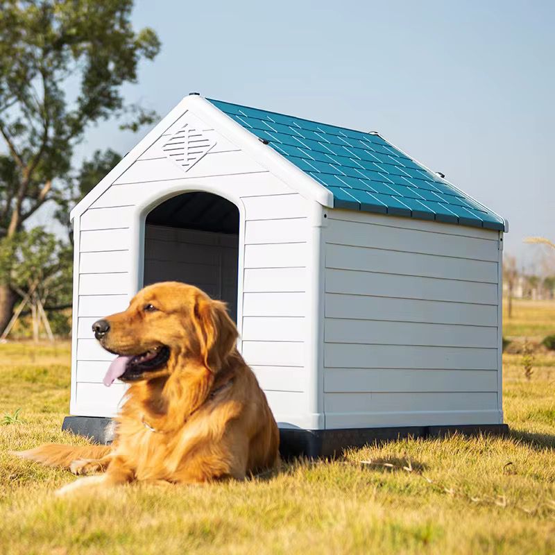Casa para Mascota - ALTOQUE