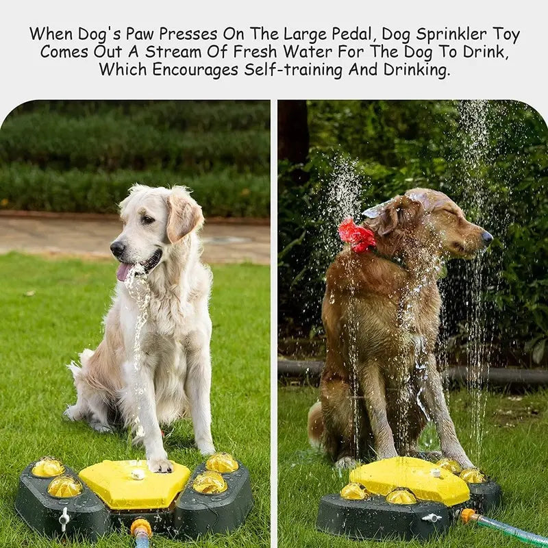Juego para Mascota Dispensador de Agua - ALTOQUE