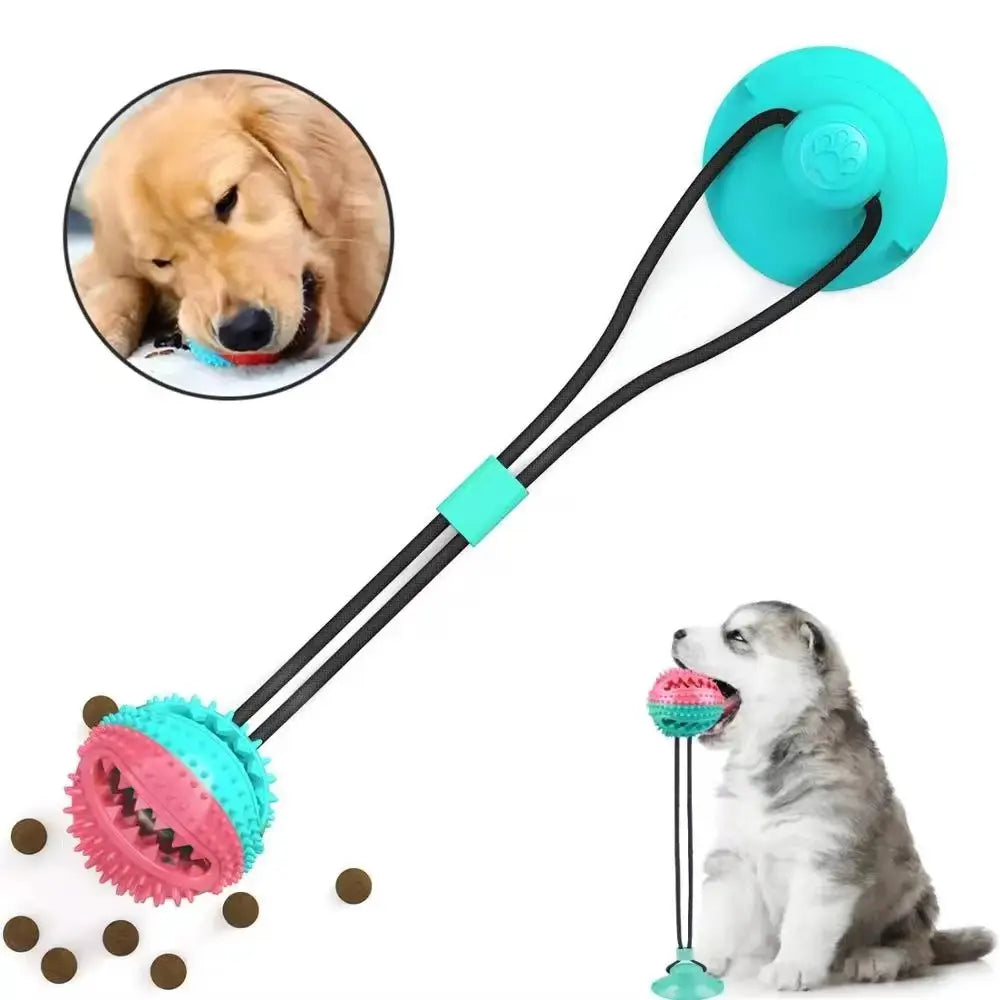 Juguete con Ventosa para Mascotas - ALTOQUE