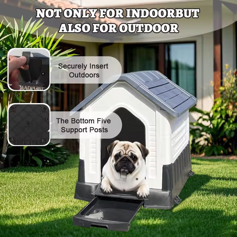 Casa para Mascota - ALTOQUE