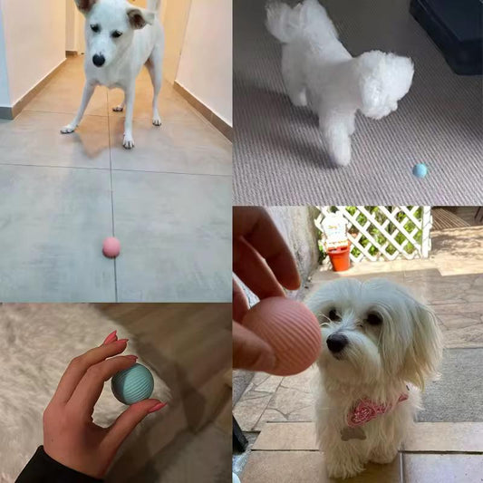 Pelota Interactiva para Mascotas - ALTOQUE