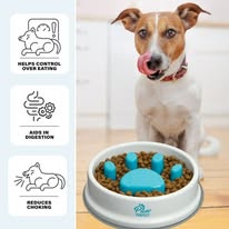 Plato para Comida de Mascota Antiestrés - ALTOQUE