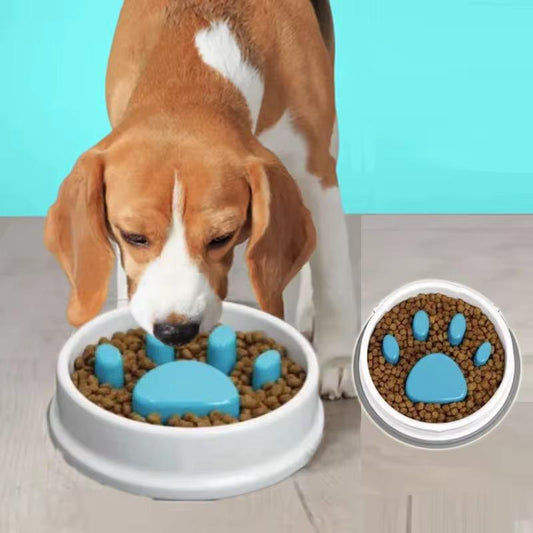 Plato para Comida de Mascota Antiestrés - ALTOQUE