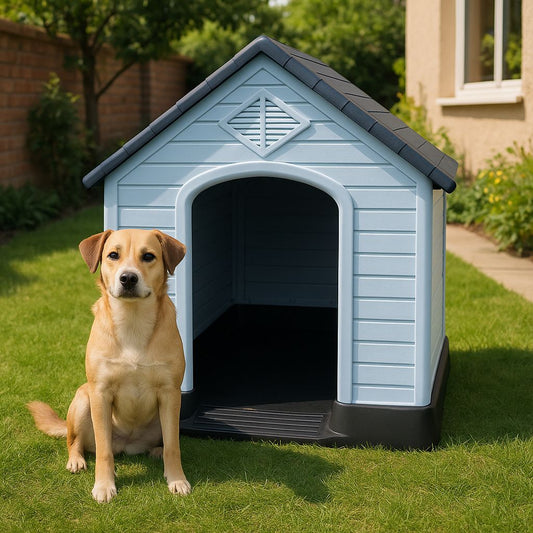 Casa para Mascota - ALTOQUE