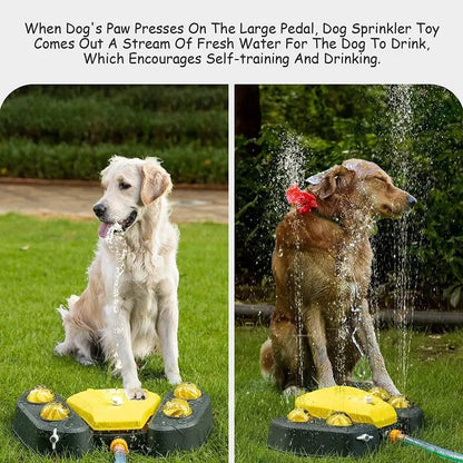 Juego para Mascota Dispensador de Agua - ALTOQUE