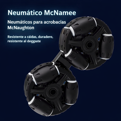 Perro Robot RC