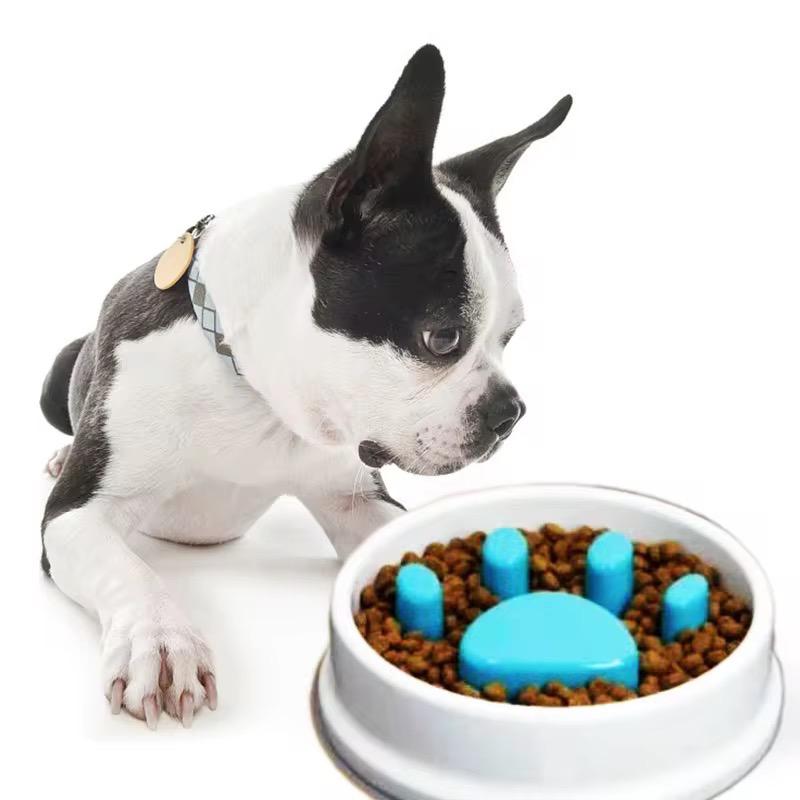 Plato para Comida de Mascota Antiestrés - ALTOQUE